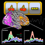 Gambling Psychology | The Psychology Of Gambling