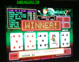 Shamrock7's Progressive Jackpot Win $2336